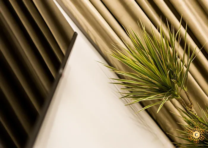 Cozy Corner קלוז'-נאפוקה